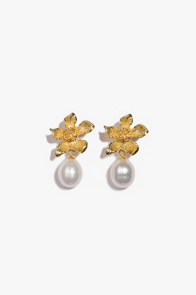 Australian South Sea Pearl Earring SES34