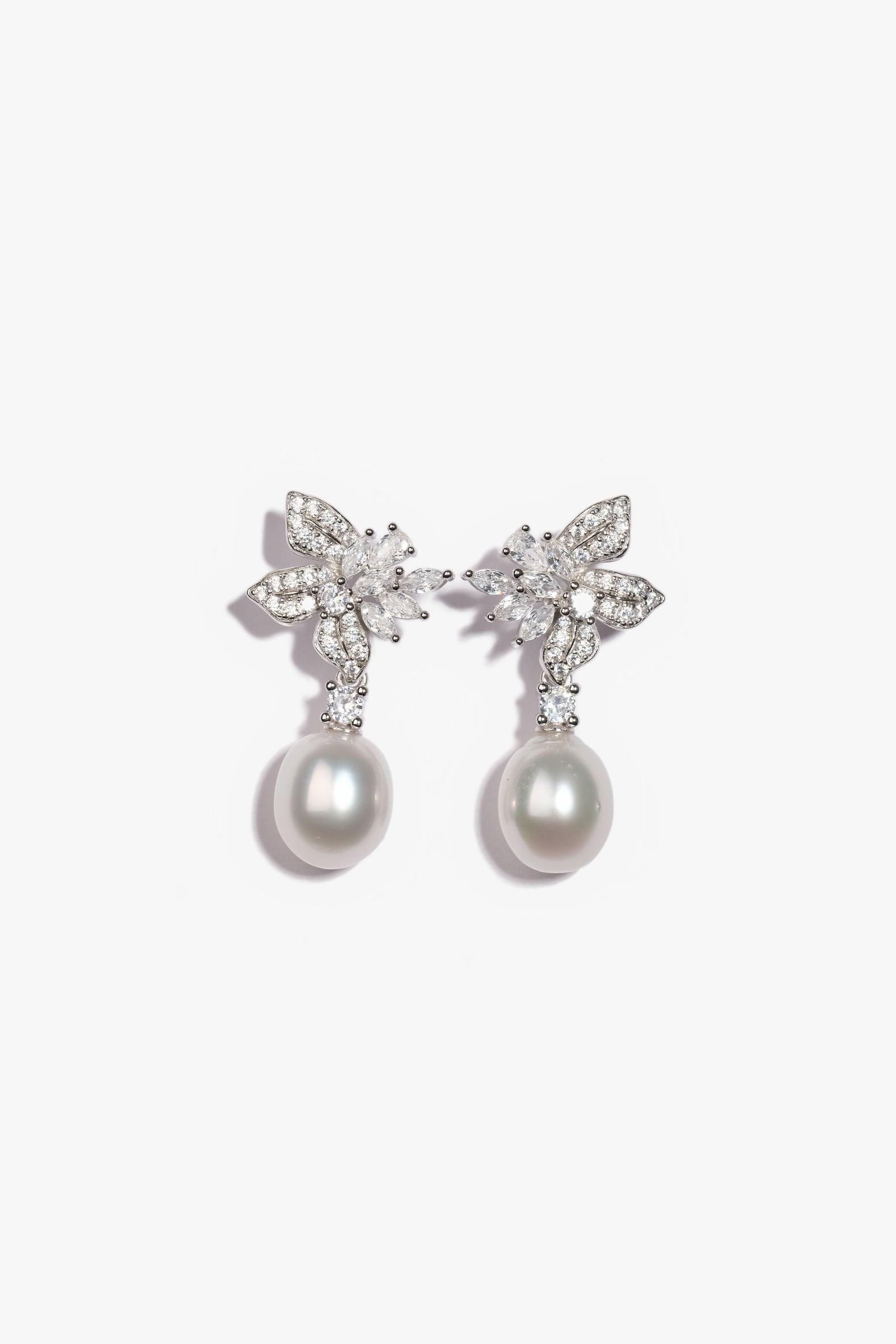 Australian South Sea Pearl Earring SES38