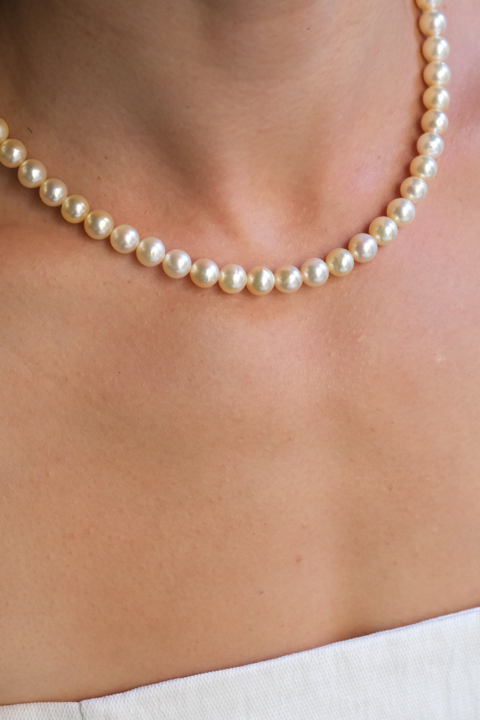 Akoya Pearl Necklace ANS26