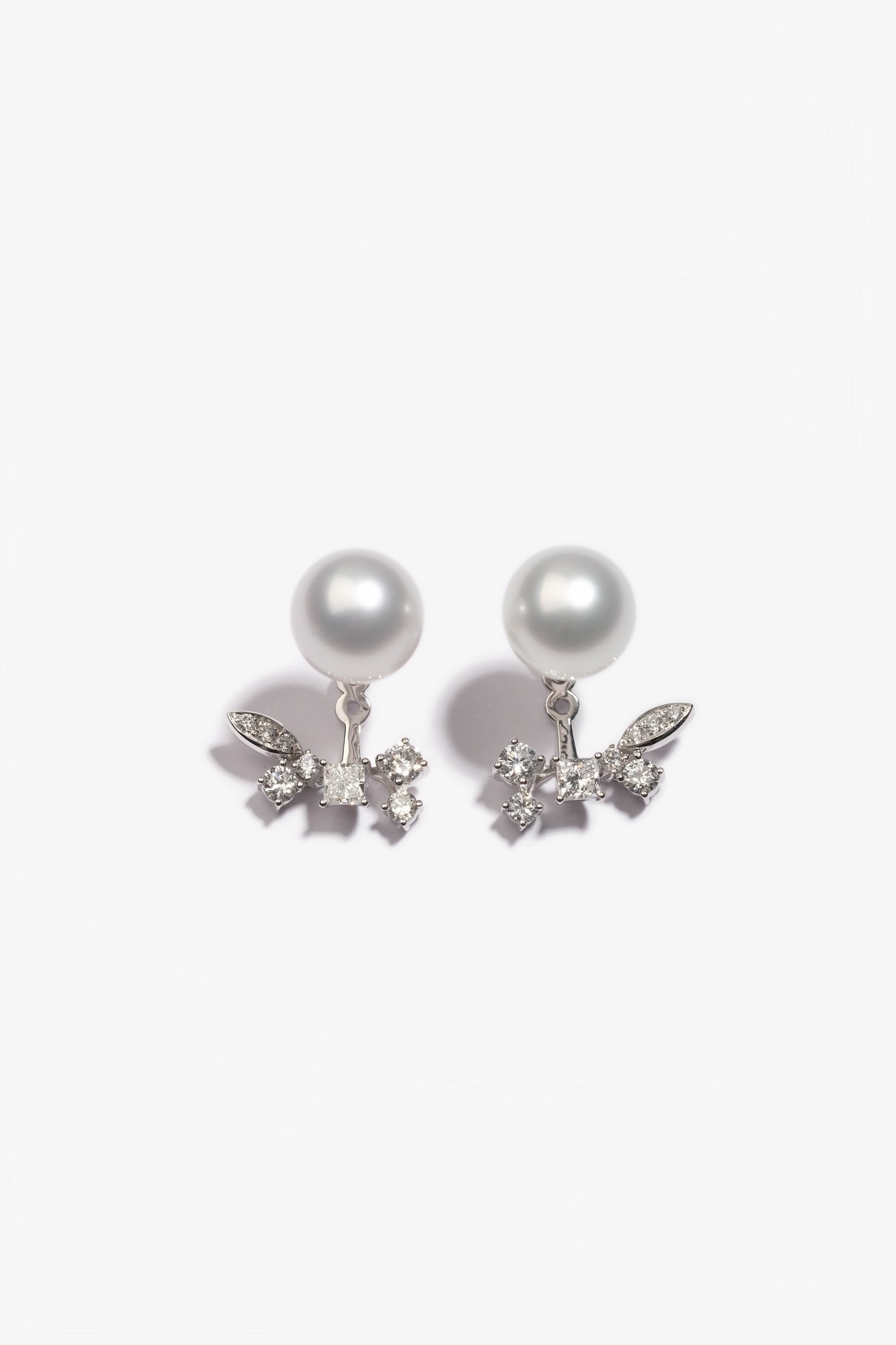 Australian South Sea Pearl Earrings 1OP68537