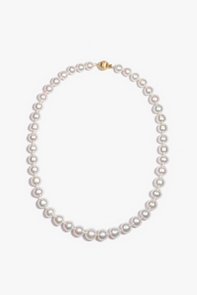 Australian South Sea Pearl Necklace SN18K22