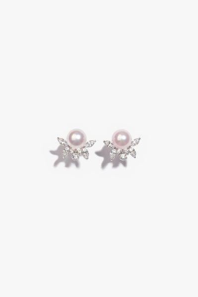 Akoya Pearl Earring AES21