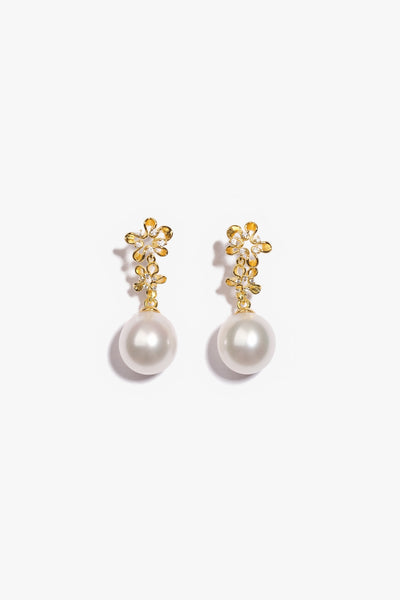 Coral Reverie - Earrings