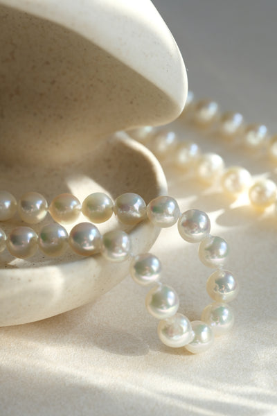 Akoya Pearl Necklace ANS36
