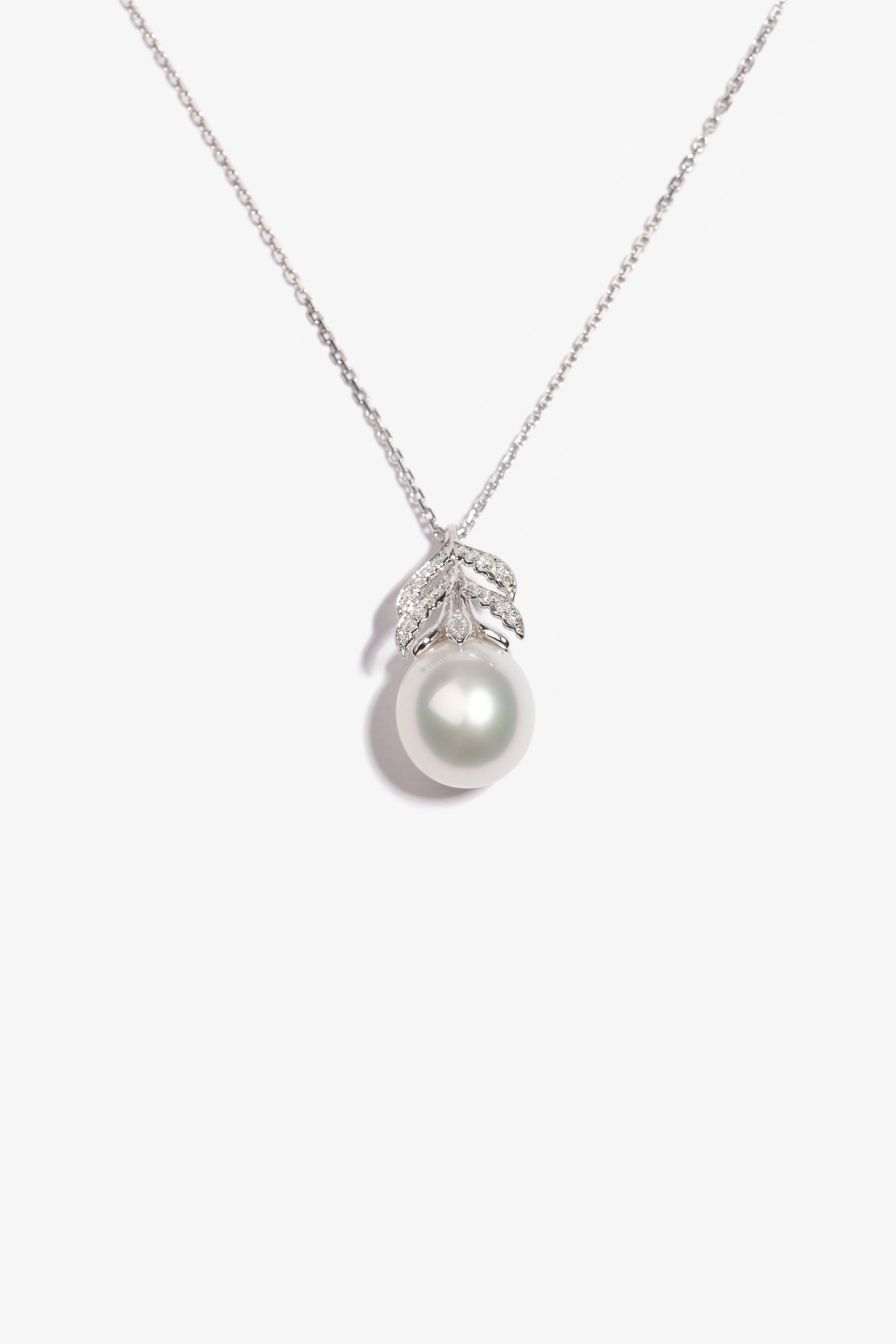 Australian South Sea Pearl 1ML62952