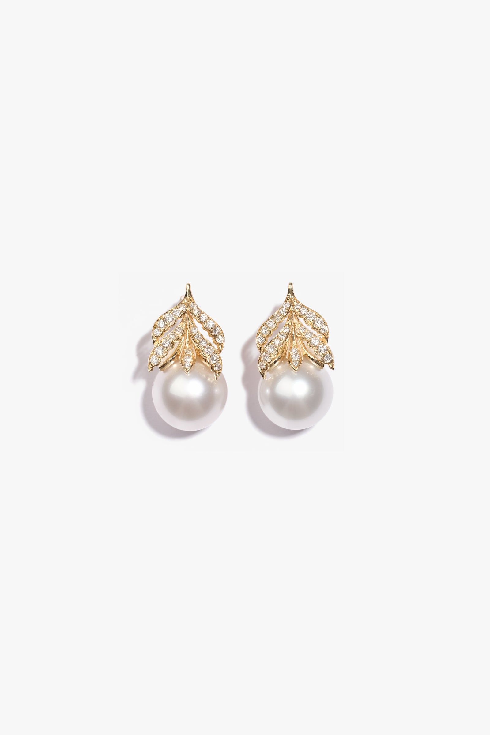 Wildwood - Earring