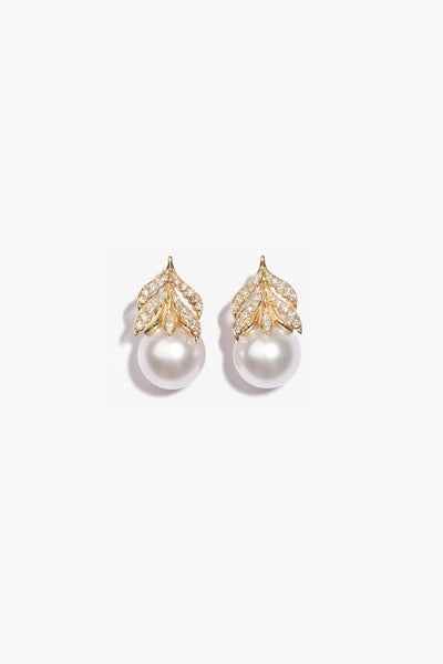 Australian South Sea Pearl Earring SE18KD12