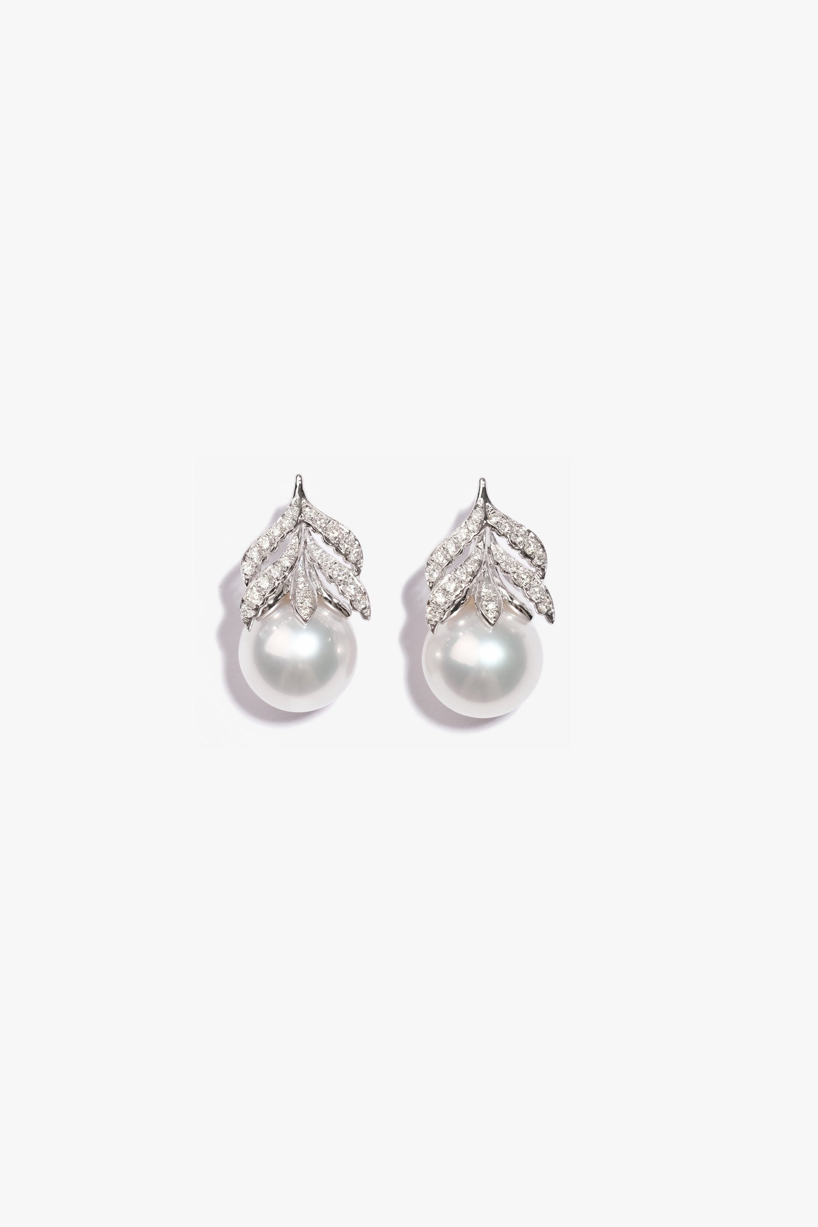 Wildwood - Earring