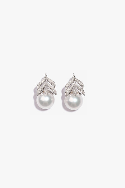 Australian South Sea Pearl Earring SE18KD12