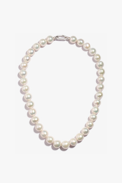 Freshwater Pearl Necklace FNS104