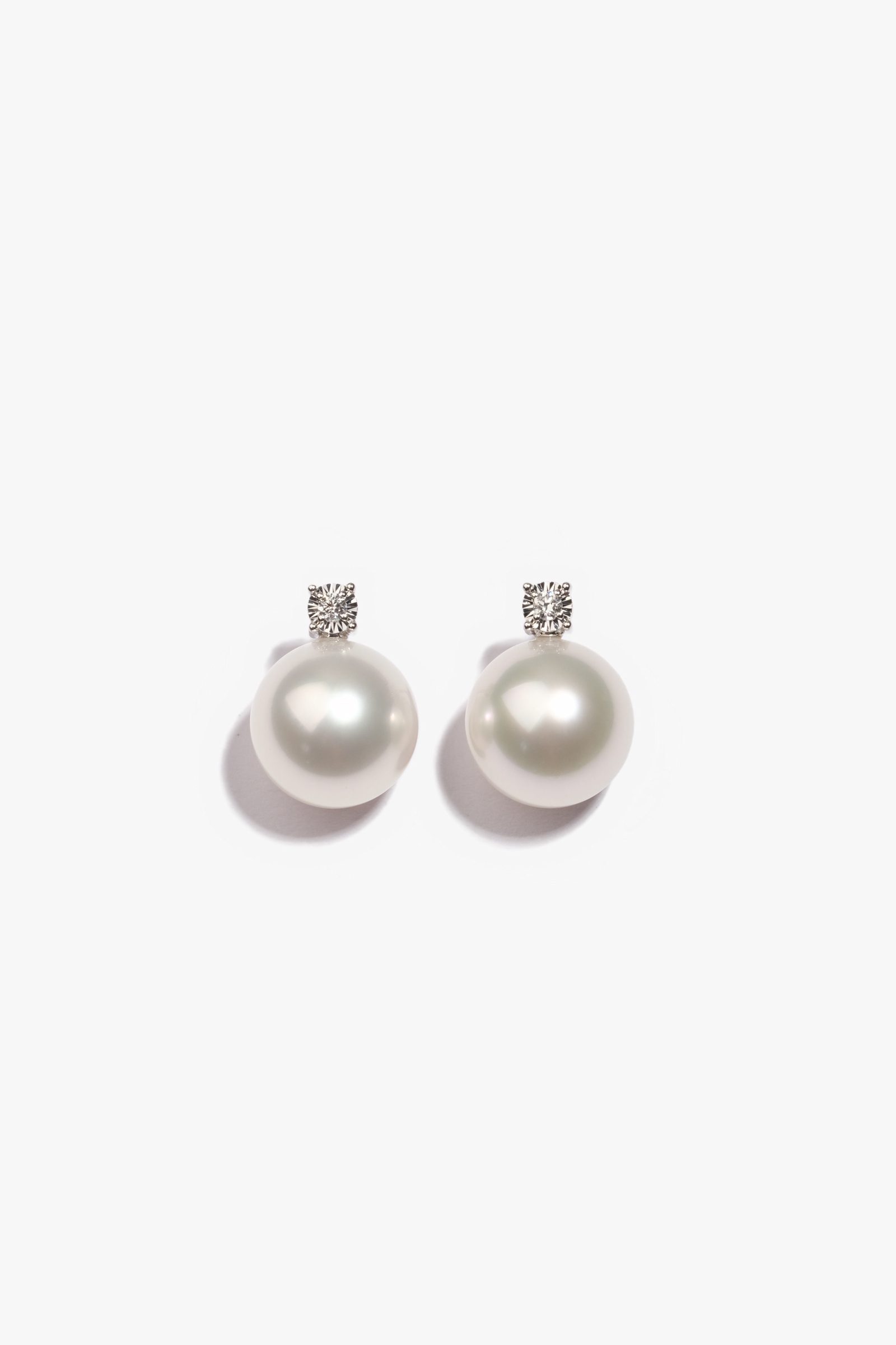 Australian South Sea Pearl Earrings 1OP69763